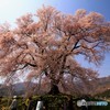 遂に…来てしまった…。