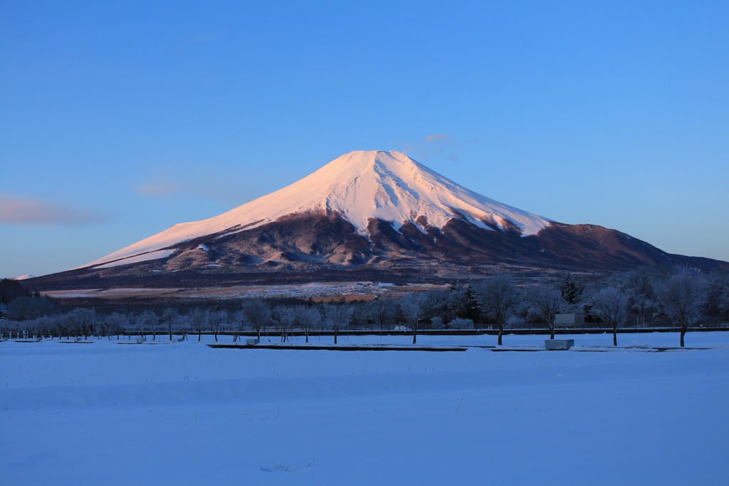雪原の夜明け