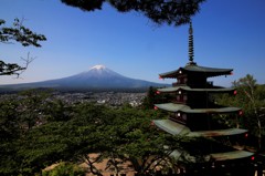 ここも…初夏の佇まい。