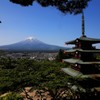 ここも…初夏の佇まい。