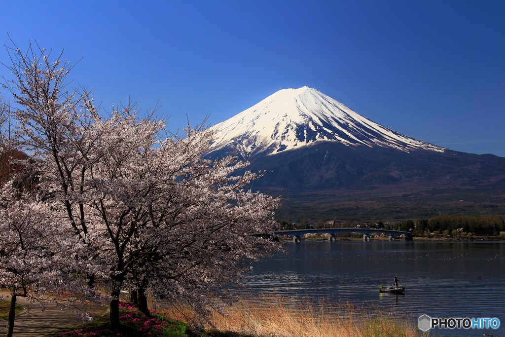 湖畔に訪れた春のとき