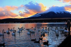 黄昏どきの晩餐会