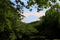 晩春から初夏への移ろい