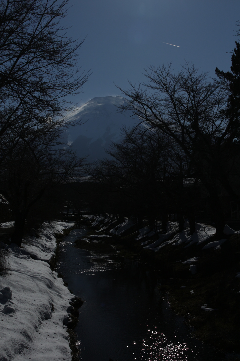 桜の時期の下見