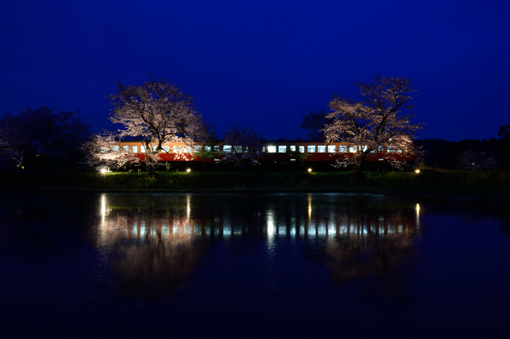 夜桜小湊鉄道②