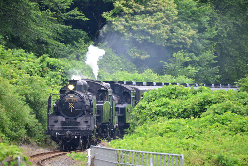 真岡鐡道、重連走行①