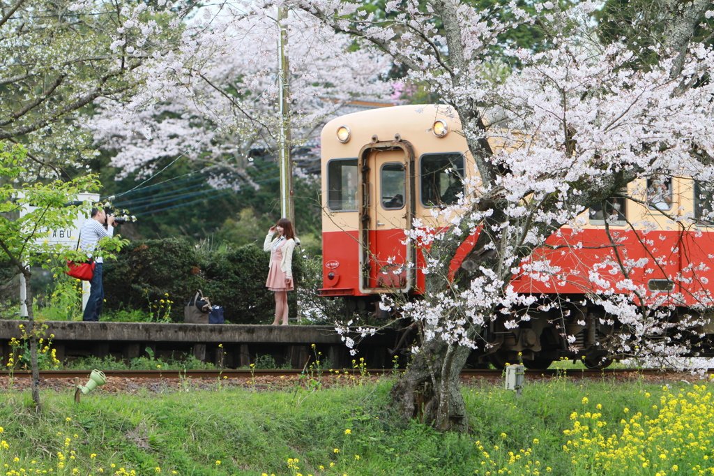 桜キハ200系⑦