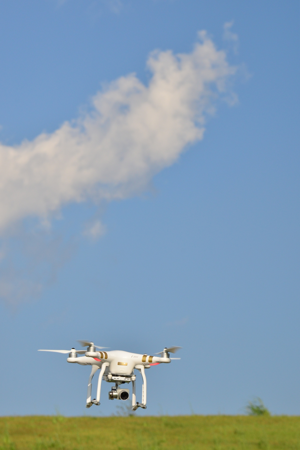 PHANTOM 3 Pro ②