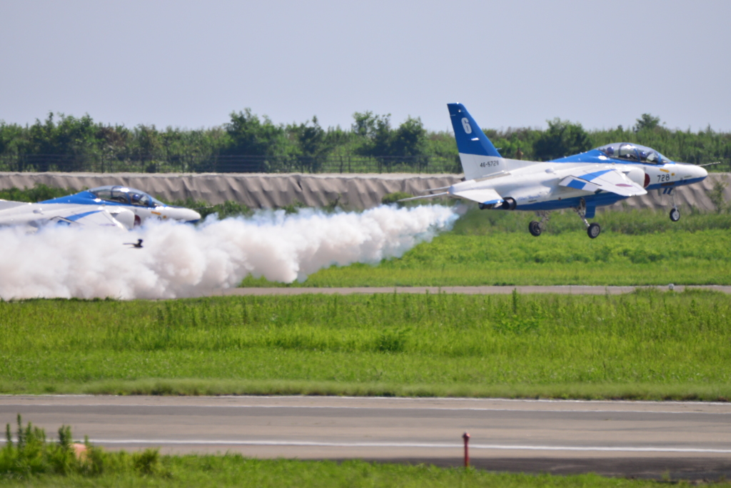 松島基地 航空祭 2017 ブルー＆鳥ぃぃ