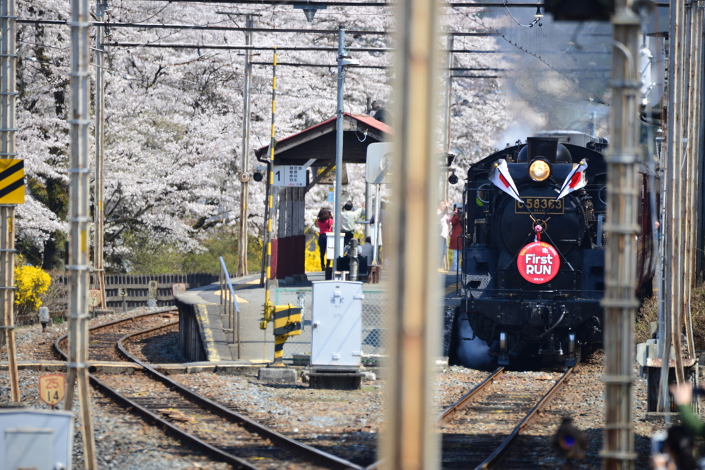 秩父鉄道　SLパレオエクスプレス「ファーストラン記念イベント」⑧