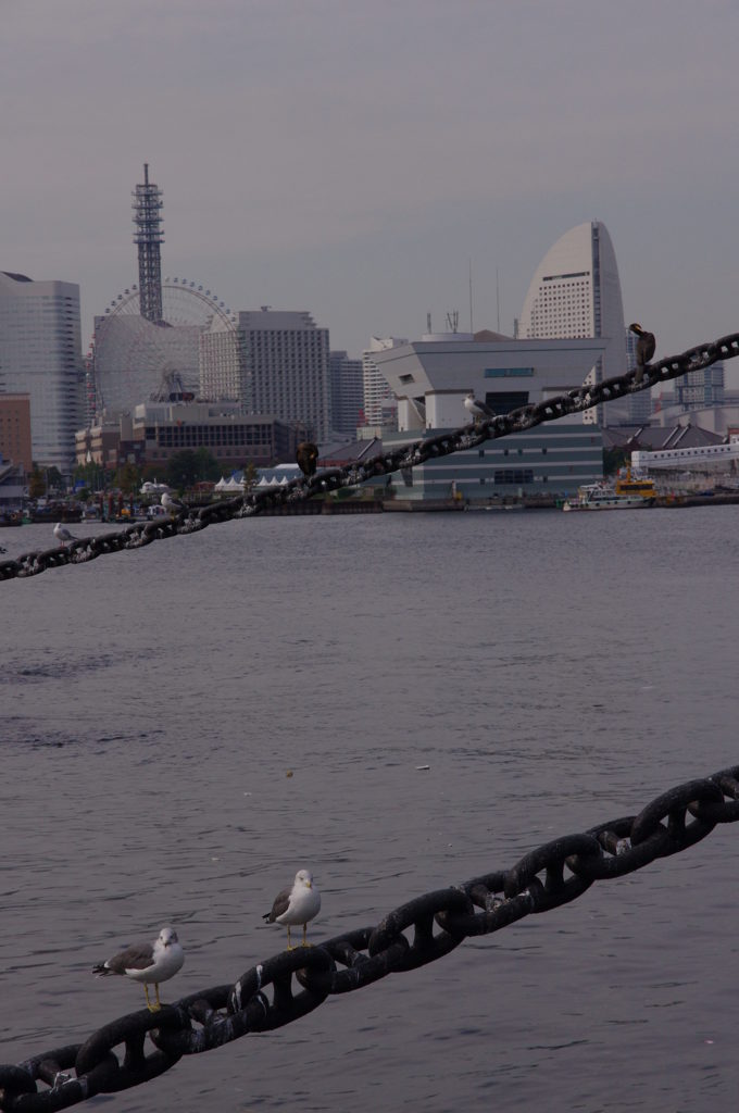 お散歩横浜 29