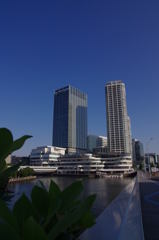お散歩横浜 01