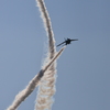 松島基地 航空祭 2017 ブルーインパルス㉘