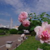 お散歩横浜 28