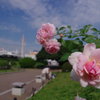 お散歩横浜 28