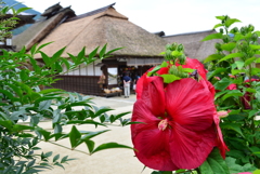 大内宿①