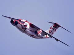 入間基地航空祭基地外撮影①