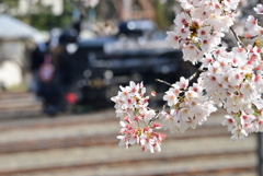 秩父鉄道　SLパレオエクスプレス「ファーストラン記念イベント」③