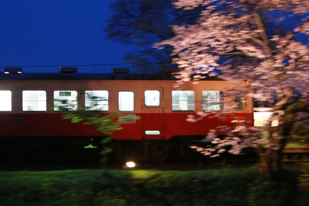 夜桜小湊鉄道④