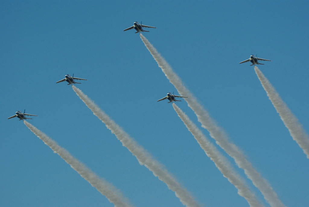 入間基地航空祭 2010_20