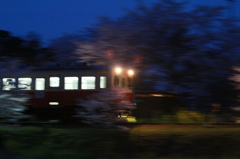 夜桜小湊鉄道③