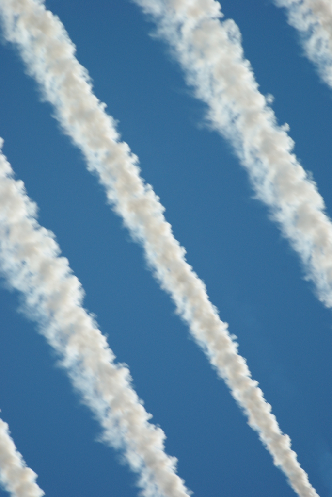入間基地航空祭 2010_17