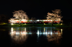 夜桜小湊鉄道