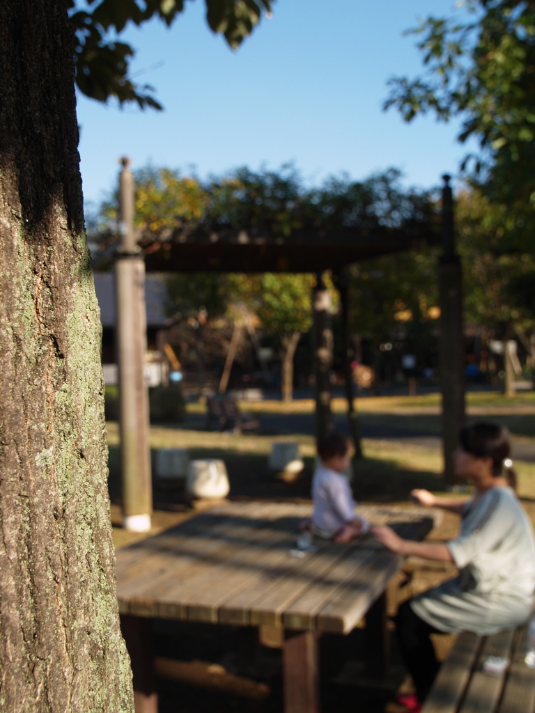 秋晴れの公園にて　①