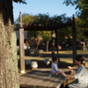 秋晴れの公園にて　①