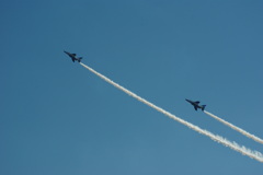 入間基地航空祭 2010_12