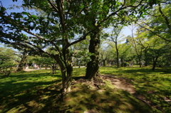 兼六園①