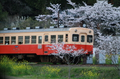 桜キハ200系⑫