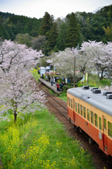 桜キハ200系③