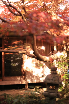 秋の京都で