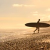 no surf,no life