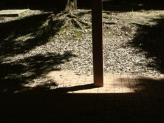 DSCF0014
