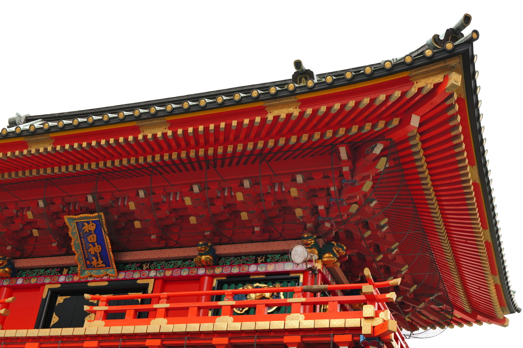 紅ショウガの羽ばたき