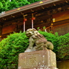 早朝の神社