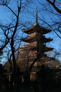 旧寛永寺五重塔