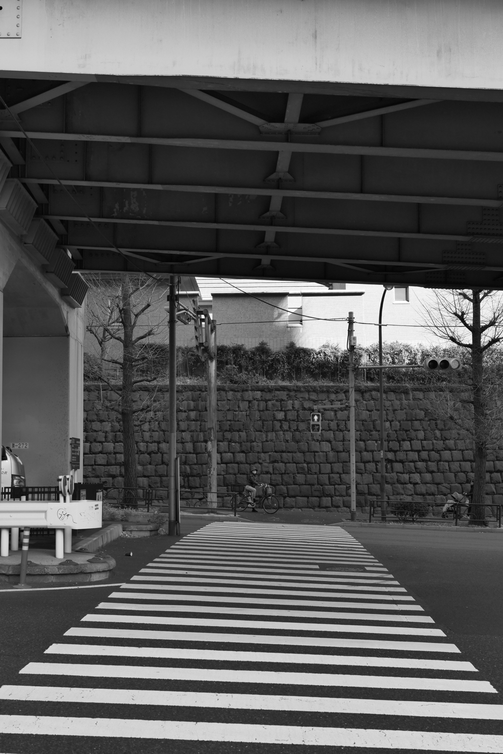 白線の上しか歩いてはいけないルールで今日は帰ろう。