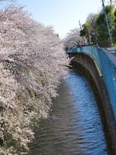 全てが風に飛ばされ