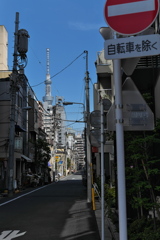 台東区からのスカイツリー