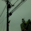 APC_1534