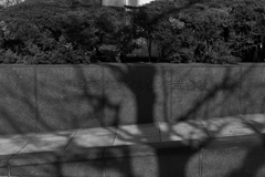 富士写真フイルム株式会社