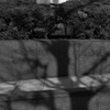 富士写真フイルム株式会社