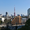 東京タワー
