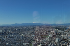 妖精さんを発見しました。