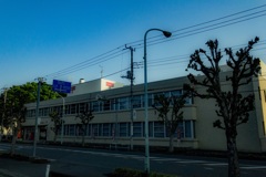 APC_0455