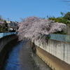 青い空と桜の色と川の流れを見る。そして、二度寝したくなる。