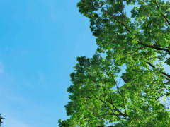 空へと抜けていく意識
